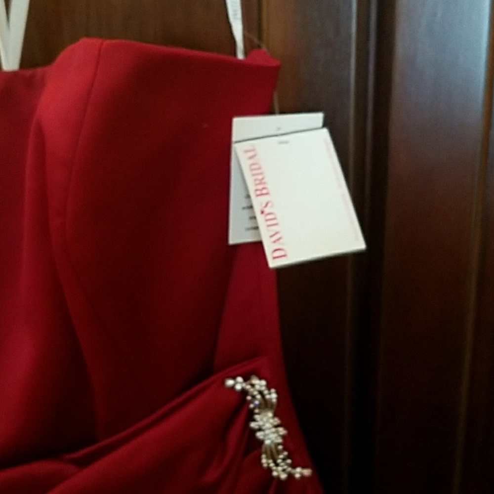 David's Bridal Bridesmaid Dresses - Picture 5 of 8